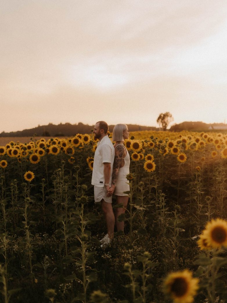 Romantisches Paarshooting im Sonnenblumenfeld bei goldenem Sonnenlicht.